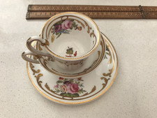 Beautiful Early Antique Spode Trio Antique Hand Painted Spode Cups Saucer 1820s