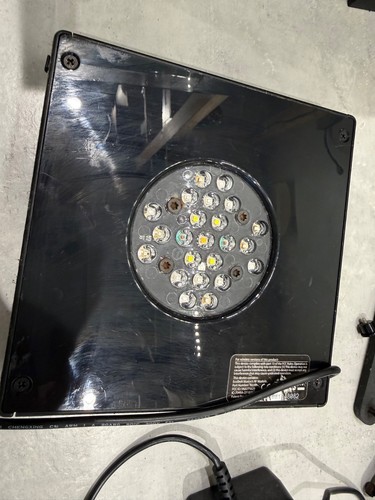 Ecotech radion xr15 gen4 - ecotech, pro