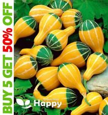 SMALL SPOON  - 15 seeds - Ornamental Gourd Pumpkin - Cucurbita pepo