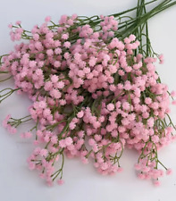 BABY'S BREATH CRIMSON RED -