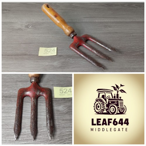 Gardeners hand fork garden - hand,