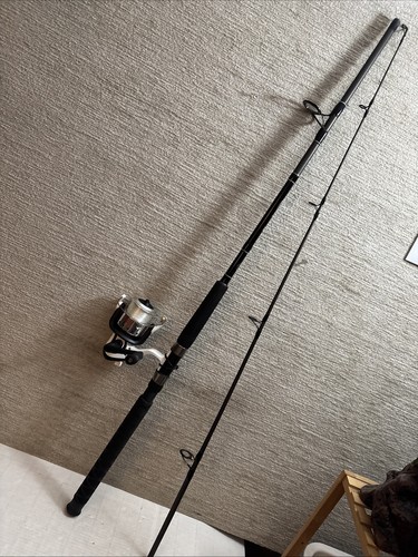 Berkley fusion saltwater - rod, &