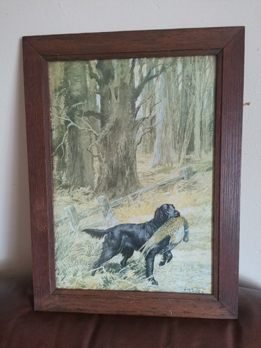 Prints gun dogs by ward - prints,