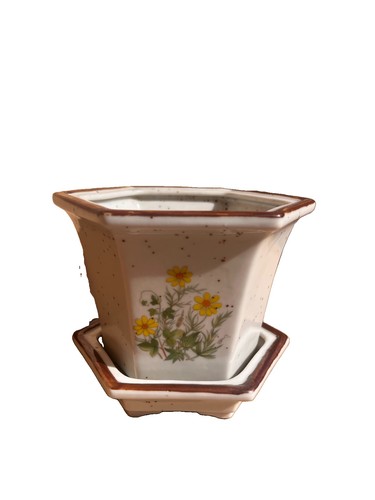 Hexagonal japanese brown - hexagonal,