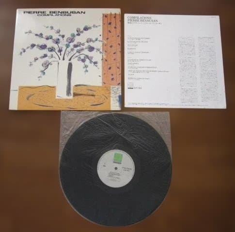 Pierre bensusan compilations - pierre,