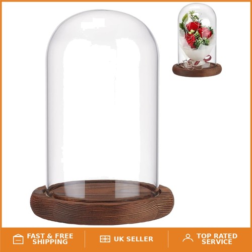Timeless glass display dome - glass,