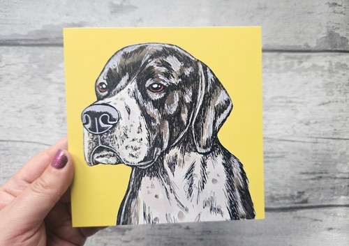 English pointer greetings - english,