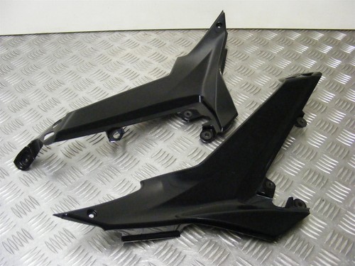 Kawasaki ninja 650 - kawasaki, panels