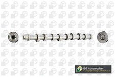 Camshaft for Peugeot Bipper