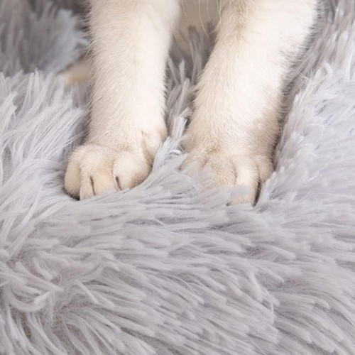 Cat dog bed pet - cat, soft