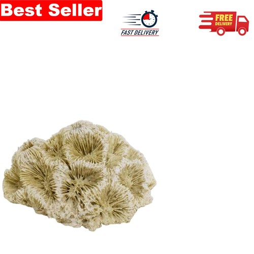 Aquarium coral decor - aquarium,