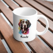 Colourful Brittany Spaniel