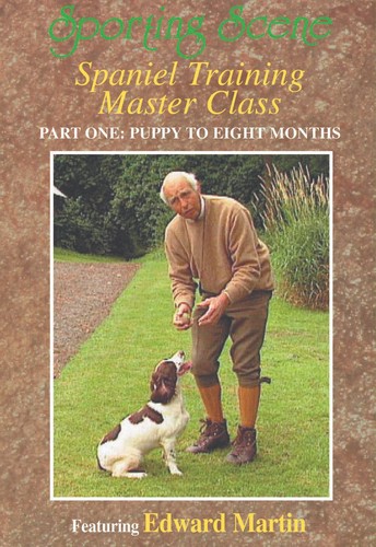 Spaniel training master - spaniel,