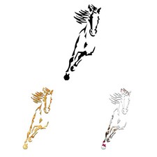 Horse Pattern Acrylic Mirror