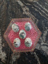 Vintage Chinese Hand-Painted