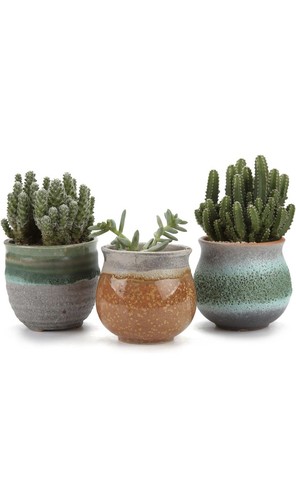 Trio small ceramic - small, plant