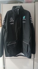 Mercedes amg petronas - mercedes-amg, f1