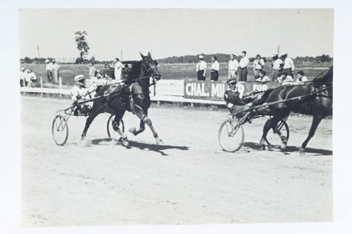1940s horse harness racing - harness,