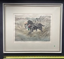 Flat-Coated Retriever Original