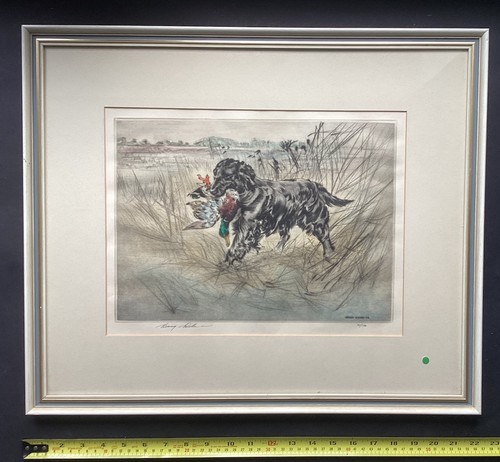 Flat coated retriever - flat-coated, original