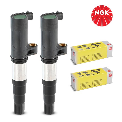 Original ngk ignition - 2x,