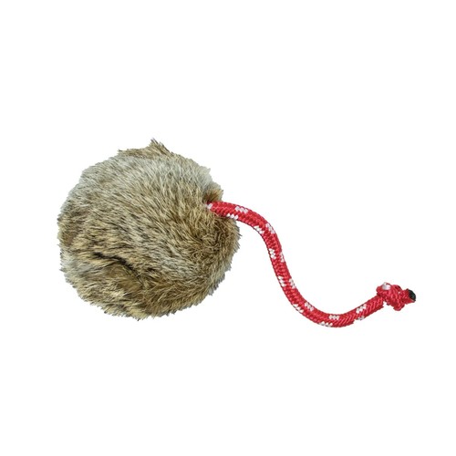 Gun dog long throw rabbit - long, ball