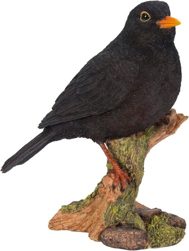 Vivid arts garden birds - arts,
