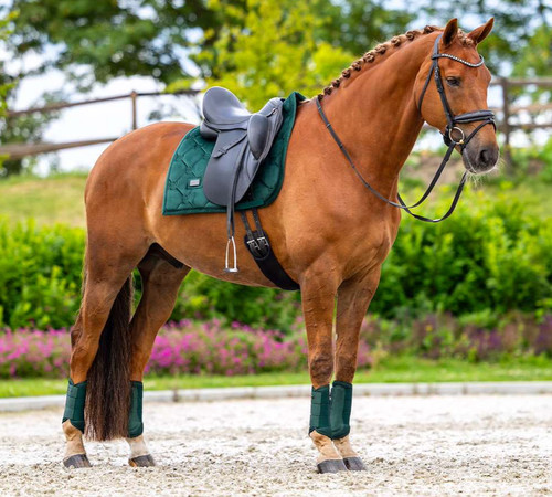 Equestrian stockholm green - stockholm,