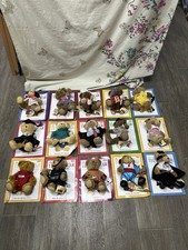 The Teddy Bear Collection 15