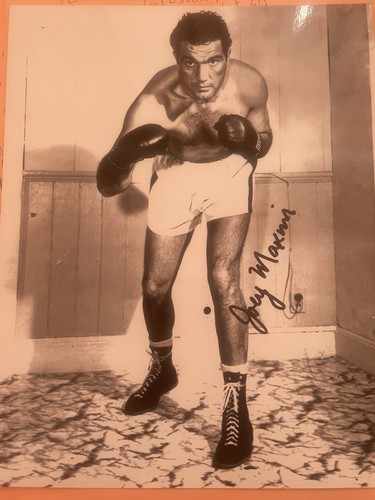 World champion joey - world, maxim