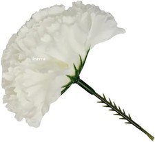 Carnation Picks on Stem -