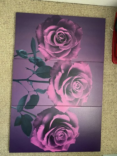 Set canvases pictures - 3,