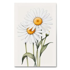 White Daisies #3 Flowers