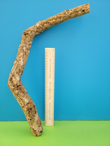 Cork bark branch - cork, 47cm
