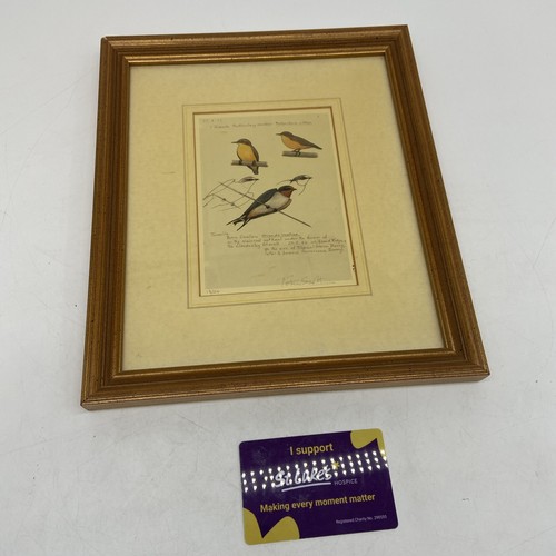 Peter scott framed signed - scott,