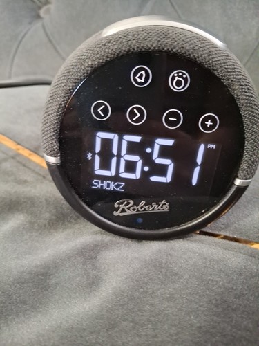 Roberts zen alarm - fm,