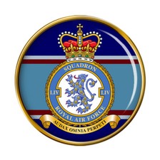 54 Squadron, RAF Pin Badge