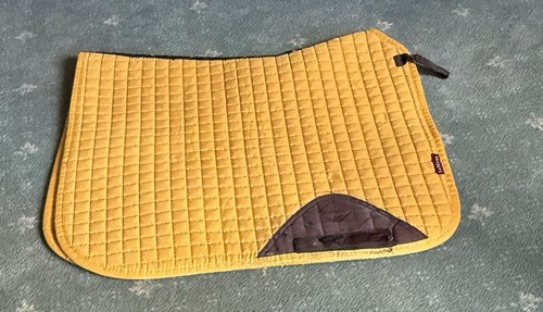 Mieux mustard large - le,