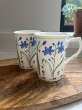 Pair of Rose of England Scilla