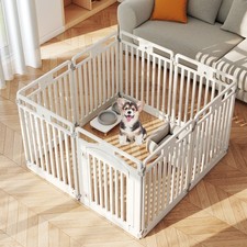 Indoor Outdoor Puppy Exercise