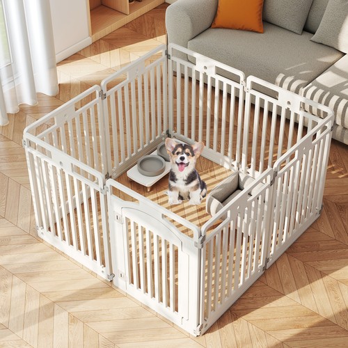 Indoor outdoor puppy - indoor, exercise