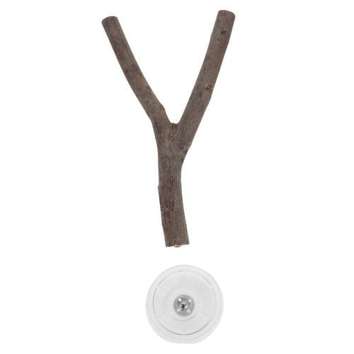 Portable parrot stand - stand, pole
