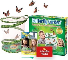 Butterfly Garden Grow Your Own Butterflies Educational Kit For Kids Boy Girl New