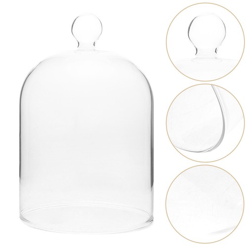 Tall glass cloche - tall,