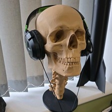 full Size Skull  ,for helmet