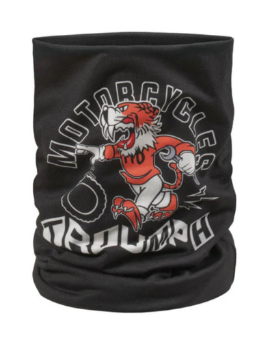 Triumph neck tube genuine - neck,