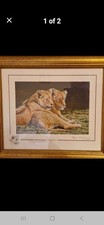 Stephen Gayford Lion Print 134/1100