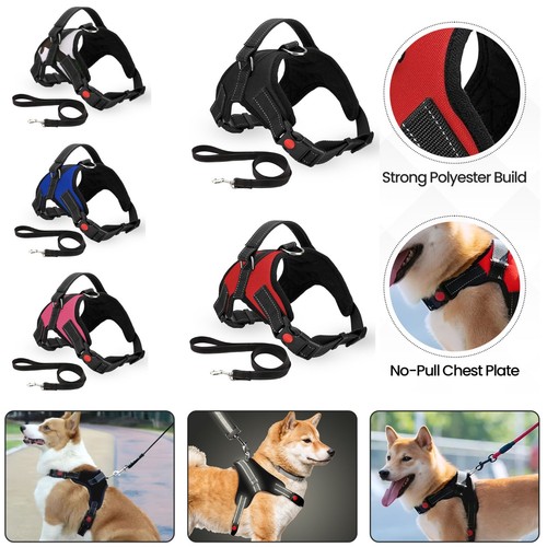 Dog pets harness pull - no, for