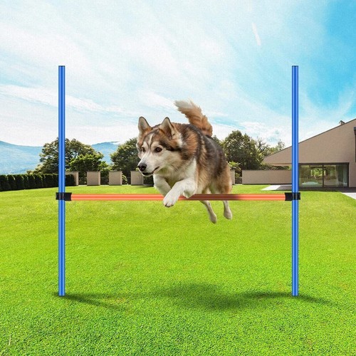 Pawise pet dog agility - agility, hurdles