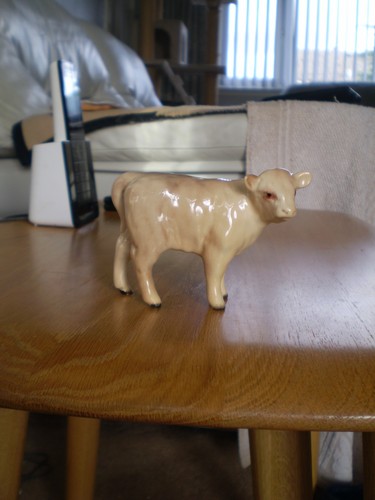 Beswick charolais calf model - charolais,